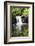 Upper Kisdon Force Near Keld-Mark Sunderland-Framed Photographic Print