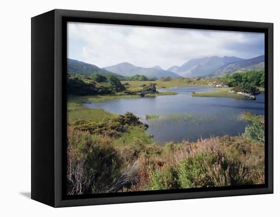 Upper Lake and Macgillycuddy's Reeks, Ring of Kerry, Killarney, Munster, Republic of Ireland (Eire)-Roy Rainford-Framed Premier Image Canvas