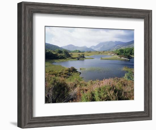 Upper Lake and Macgillycuddy's Reeks, Ring of Kerry, Killarney, Munster, Republic of Ireland (Eire)-Roy Rainford-Framed Photographic Print