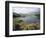 Upper Lake and Macgillycuddy's Reeks, Ring of Kerry, Killarney, Munster, Republic of Ireland (Eire)-Roy Rainford-Framed Photographic Print