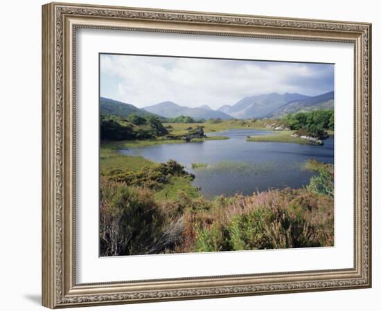 Upper Lake and Macgillycuddy's Reeks, Ring of Kerry, Killarney, Munster, Republic of Ireland (Eire)-Roy Rainford-Framed Photographic Print