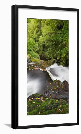 Upper Mclean Falls, Catlins, Southland South Island, New Zealand-Rainer Mirau-Framed Photographic Print