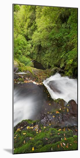 Upper Mclean Falls, Catlins, Southland South Island, New Zealand-Rainer Mirau-Mounted Photographic Print