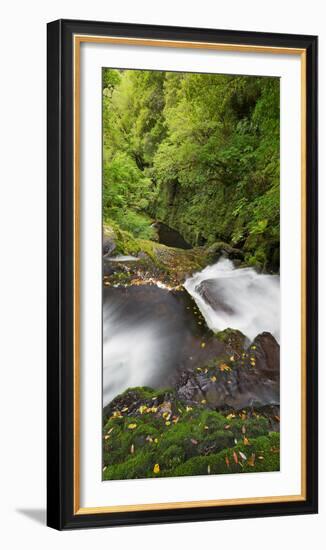 Upper Mclean Falls, Catlins, Southland South Island, New Zealand-Rainer Mirau-Framed Photographic Print