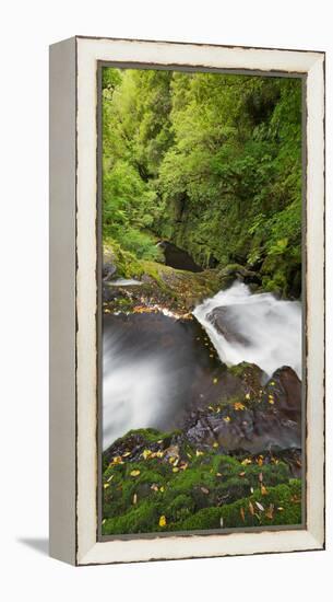 Upper Mclean Falls, Catlins, Southland South Island, New Zealand-Rainer Mirau-Framed Premier Image Canvas