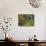 Upper Multnomah Falls-Steve Terrill-Photographic Print displayed on a wall
