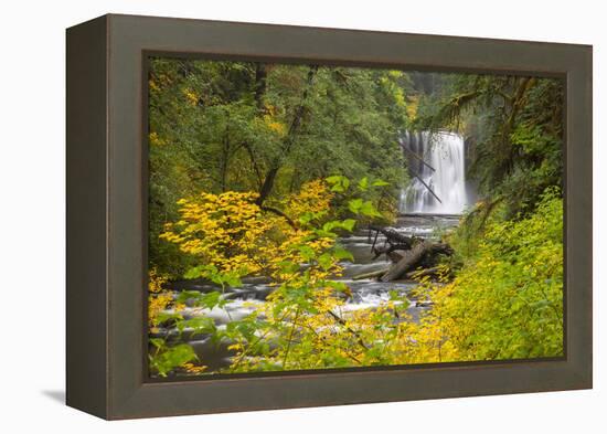 Upper North Falls, Silver Falls State Park, Oregon, USA-Jamie & Judy Wild-Framed Premier Image Canvas