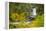 Upper North Falls, Silver Falls State Park, Oregon, USA-Jamie & Judy Wild-Framed Premier Image Canvas