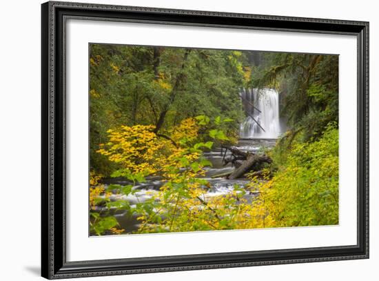 Upper North Falls, Silver Falls State Park, Oregon, USA-Jamie & Judy Wild-Framed Photographic Print