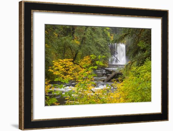 Upper North Falls, Silver Falls State Park, Oregon, USA-Jamie & Judy Wild-Framed Photographic Print