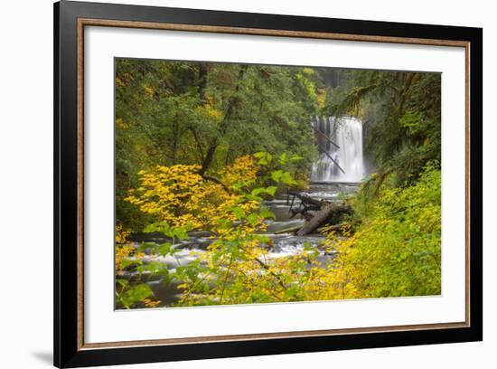 Upper North Falls, Silver Falls State Park, Oregon, USA-Jamie & Judy Wild-Framed Photographic Print