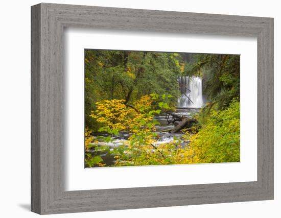 Upper North Falls, Silver Falls State Park, Oregon, USA-Jamie & Judy Wild-Framed Photographic Print