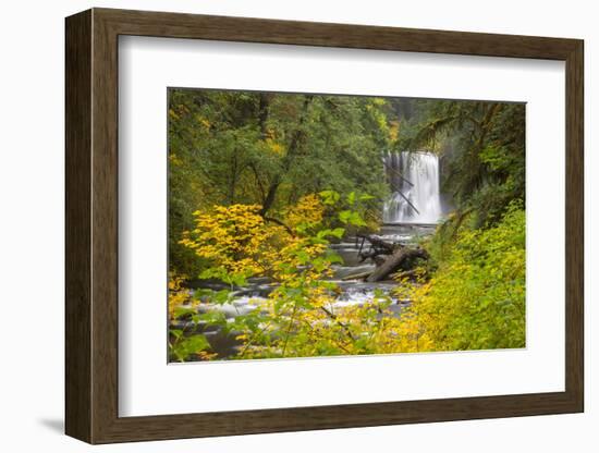 Upper North Falls, Silver Falls State Park, Oregon, USA-Jamie & Judy Wild-Framed Photographic Print