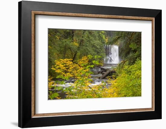 Upper North Falls, Silver Falls State Park, Oregon, USA-Jamie & Judy Wild-Framed Photographic Print