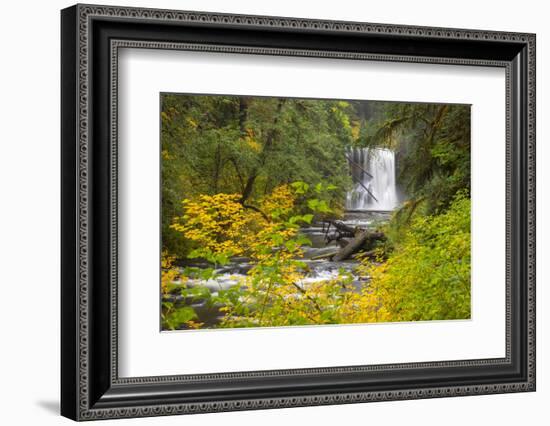 Upper North Falls, Silver Falls State Park, Oregon, USA-Jamie & Judy Wild-Framed Photographic Print