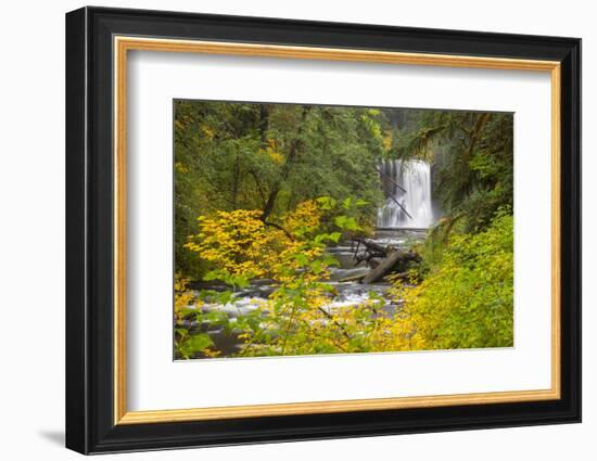 Upper North Falls, Silver Falls State Park, Oregon, USA-Jamie & Judy Wild-Framed Photographic Print