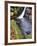 Upper Waterfall at Posforth Gill, Bolton Abbey, Yorkshire, England, United Kingdom, Europe-Mark Sunderland-Framed Photographic Print