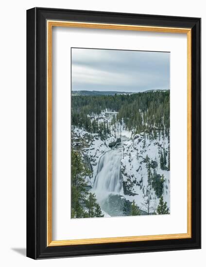 Upper Yellowstone Falls-Rob Tilley-Framed Photographic Print