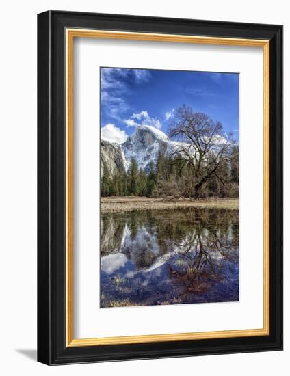 Upper Yosemite Falls seen from Cooks Meadow. Yosemite National Park, California.-Tom Norring-Framed Photographic Print