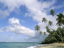 Palm Trees and Sea, Lalomanu Beach, Upolu Island, Western Samoa-Upperhall-Photographic Print