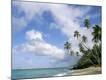 Photographic Print