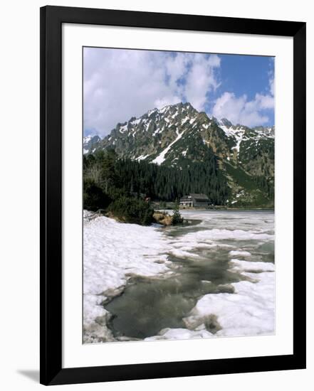 Photographic Print, , large