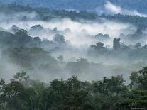Rain Forest, from Lubaantun to Maya Mountains, Belize, Central America-Upperhall-Photographic Print