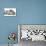 Upside Down, 2015-Mark Adlington-Mounted Giclee Print displayed on a wall