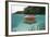 Upside-Down Jellyfish at the Ocean Surface (Cassiopea Andromeda), Risong Bay, Micronesia, Palau-Reinhard Dirscherl-Framed Photographic Print