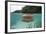 Upside-Down Jellyfish at the Ocean Surface (Cassiopea Andromeda), Risong Bay, Micronesia, Palau-Reinhard Dirscherl-Framed Photographic Print