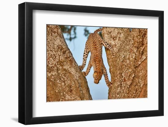 Upside Down-Alessandro Catta-Framed Photographic Print