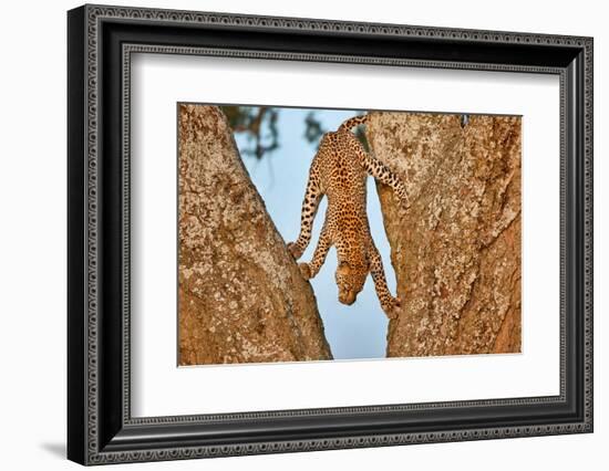 Upside Down-Alessandro Catta-Framed Photographic Print