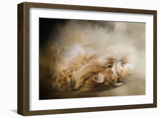 Upside Down-Jai Johnson-Framed Giclee Print