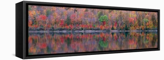 Upson Lake Reflection-Jim Becia-Framed Stretched Canvas