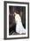 Upstairs-James Tissot-Framed Art Print