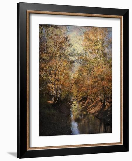 Upstream-Jai Johnson-Framed Giclee Print