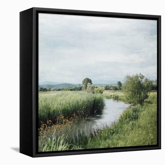 Upstream-Kimberly Allen-Framed Stretched Canvas