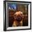 Uptown Pug-Lucia Heffernan-Framed Art Print