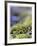 Upward Growth-Michelle Wermuth-Framed Giclee Print