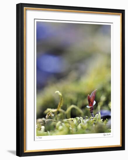 Upward Growth-Michelle Wermuth-Framed Giclee Print