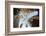 Upward view of twisted pine trees, Tuolumne Meadows, Yosemite National Park, California-Adam Jones-Framed Photographic Print