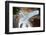 Upward view of twisted pine trees, Tuolumne Meadows, Yosemite National Park, California-Adam Jones-Framed Photographic Print