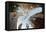 Upward view of twisted pine trees, Tuolumne Meadows, Yosemite National Park, California-Adam Jones-Framed Premier Image Canvas