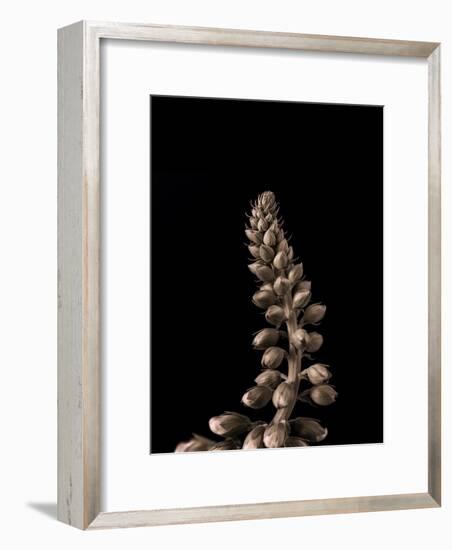 Upwards 2-Design Fabrikken-Framed Photographic Print