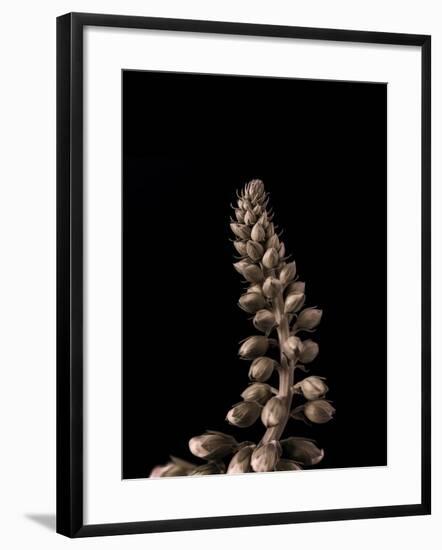 Upwards 2-Design Fabrikken-Framed Photographic Print