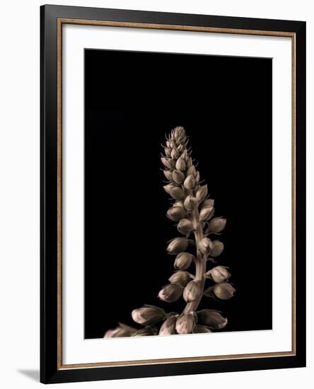 Upwards 2-Design Fabrikken-Framed Photographic Print