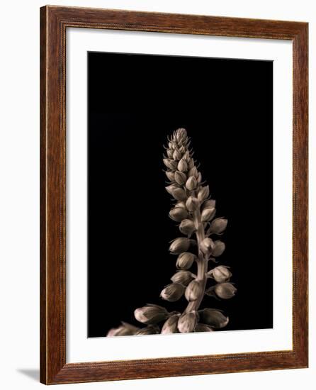 Upwards 2-Design Fabrikken-Framed Photographic Print