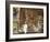 Ura Kedane Meheriet Church, Zege Peninsula, Lake Tana, Gondar Region, Ethiopia, Africa-Bruno Barbier-Framed Photographic Print