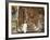 Ura Kedane Meheriet Church, Zege Peninsula, Lake Tana, Gondar Region, Ethiopia, Africa-Bruno Barbier-Framed Photographic Print