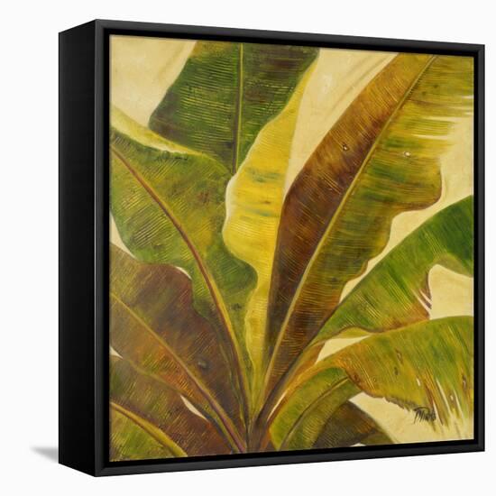 Uraba I-Patricia Pinto-Framed Stretched Canvas